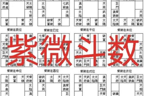甲戌年午时生人紫微斗数 甲午日甲戌时八字？