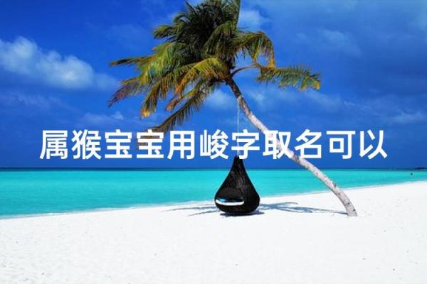 早上八点出生的属猴男孩如何起名，应用什么字姓名