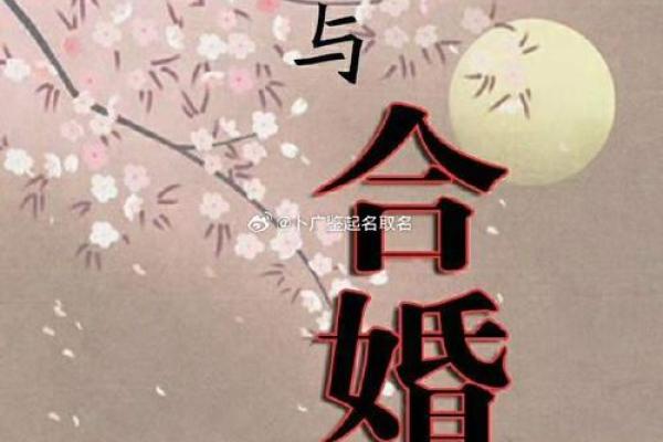 算命夫妇双方