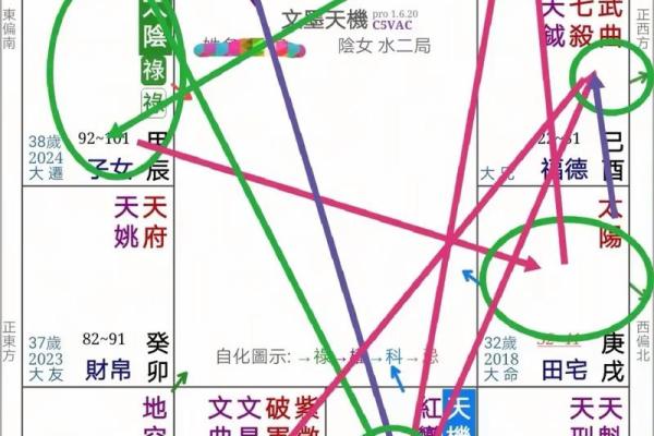 陈明业紫薇斗数