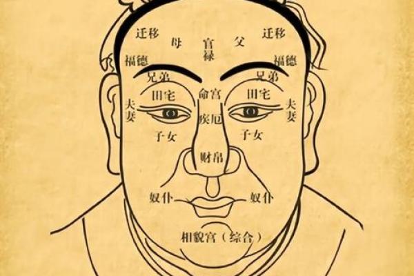 男测脸面相算命图解大全