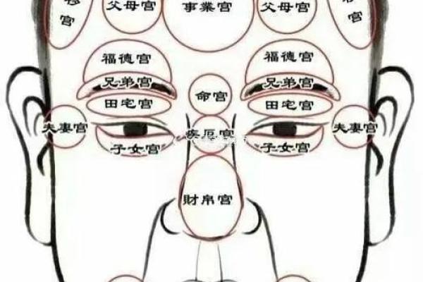 男测脸面相算命图解大全