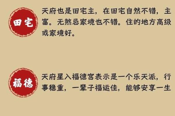 紫薇圣人紫薇斗数的简单介绍