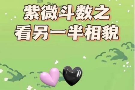 紫薇斗数看气质