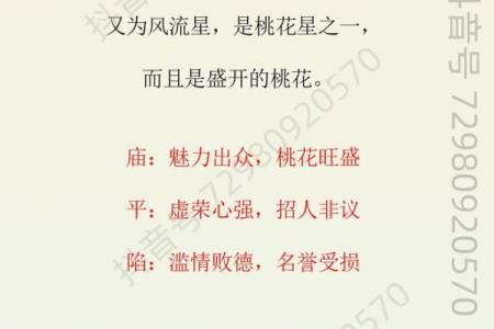 紫薇斗数天姚找不到