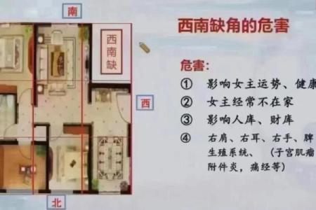 西北角风水放什么旺男人 西北角放什么旺男人