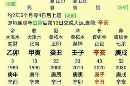 免费手机在线八字算命，精准批命结果及解析