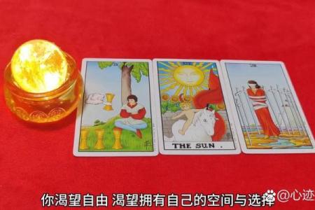 爱情测试：伴侣足够坦诚吗？塔罗揭秘Ta是否有事隐瞒你