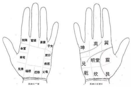 手相算命破解