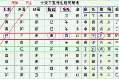 八字身旺表