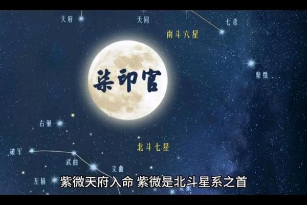 天府星紫薇星入父母宫
