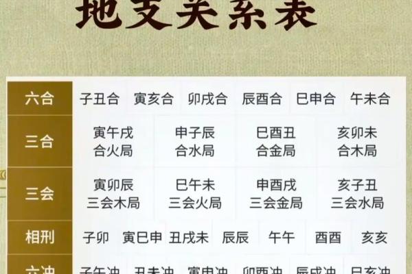八字巳酉合