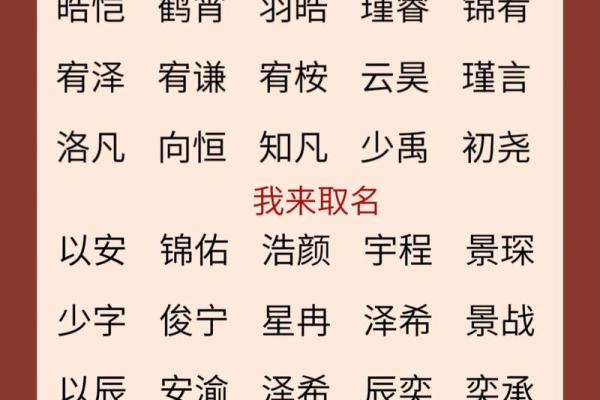 2019年6月29号子时出生的男孩起名时要注意什么姓名