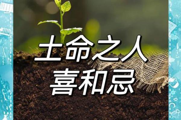 八字土命人适合干啥