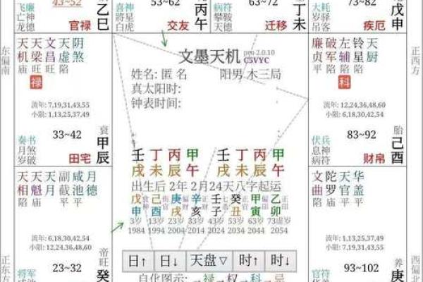刘台柱紫薇斗数