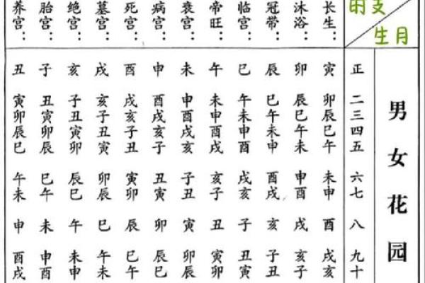 八字女命子女宫在哪里