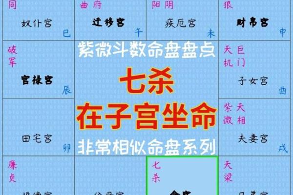 紫微斗数夫妻宫在亥无主星 加桃花主配偶有艺术才能