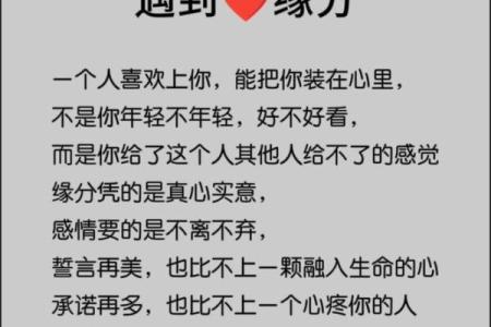 算命的说缘分来了是指遇见吗