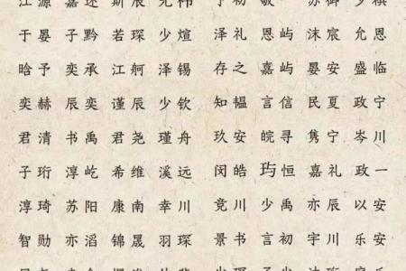 2019年6月29号子时出生的男孩起名时要注意什么姓名