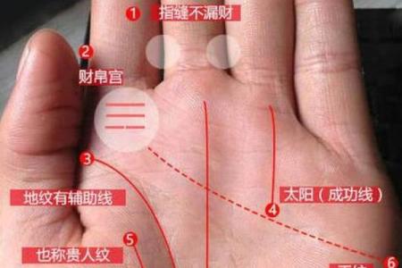 女人手纹算命图解,有福气的女人手相