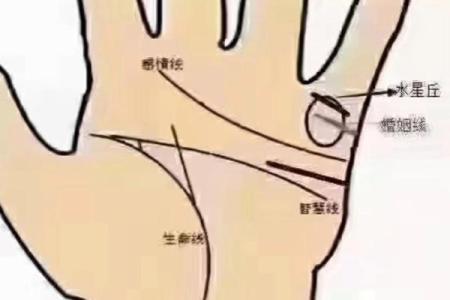 看手相算命图解
