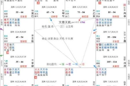 紫薇斗数文昌坐命如何看