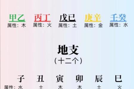 周易算命准吗
