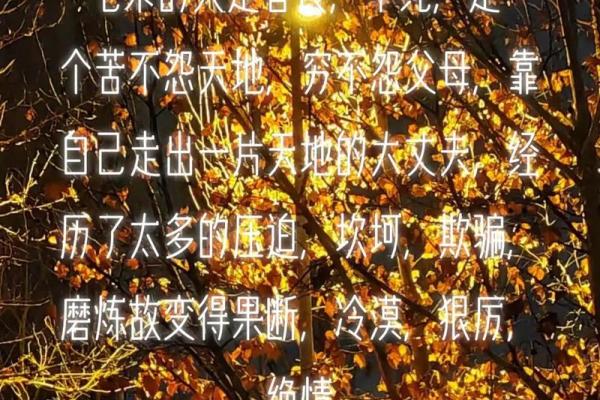 八字七杀体质