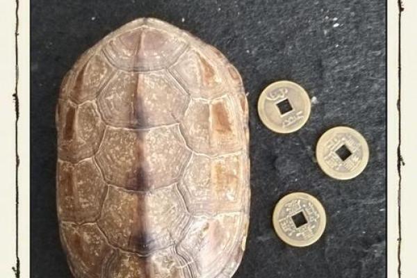 铜钱摇卦算命