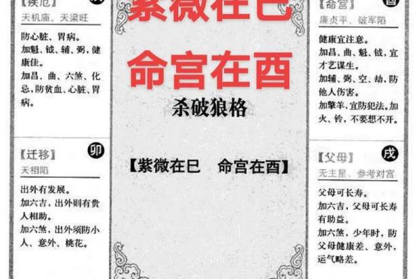 姓名紫薇斗数