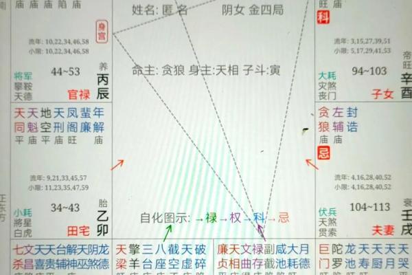 紫微斗数里的禄是什么意思 紫薇禄存星？