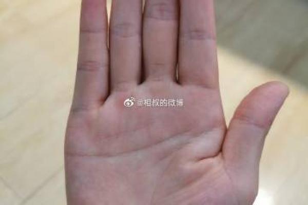 车站算命的
