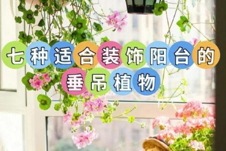 教你如何摆放阳台风水摆件