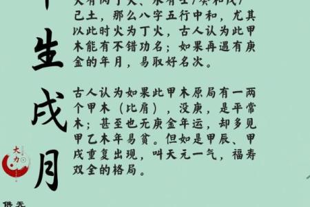 甲辰八字