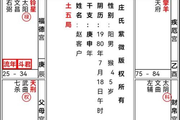 紫微斗数命宫在寅紫薇天府