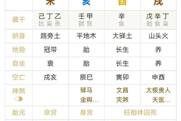 己亥生辰八字详解大全女命
