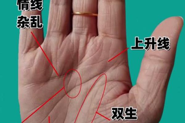 女生手相看命运，解析八字大全