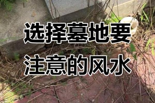 墓园风水如何选择？