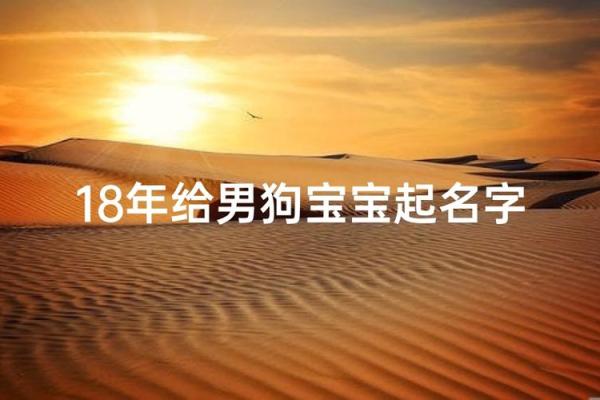七月份出生的属狗男孩怎么取名字好姓名