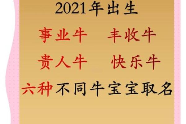 什么名字适合上午出生的属牛男孩姓名