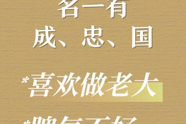 属龙辛时出生的男孩怎样起名，宜用什么字姓名