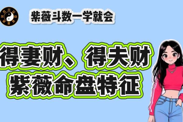 紫微斗数大财 紫微斗数大财看田？