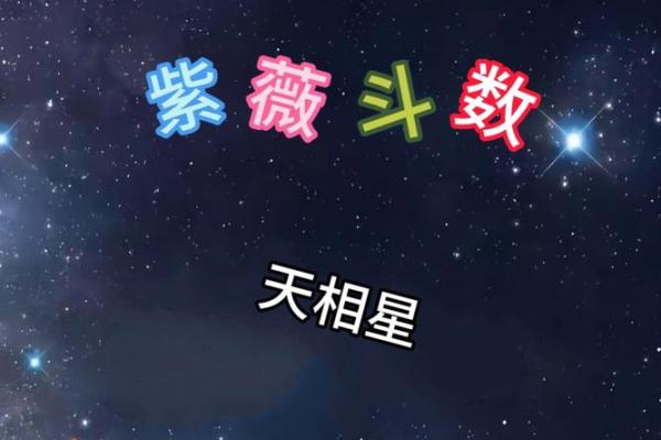 蓝天辰紫薇斗数案例