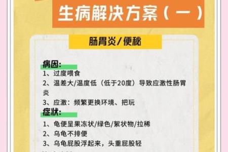 什么人不能养龟风水与属相禁忌化解