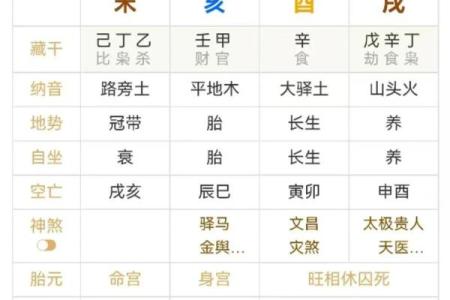 己亥生辰八字详解大全女命