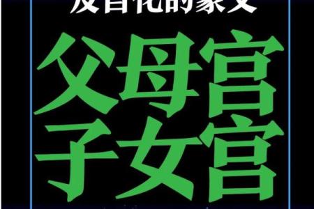紫薇斗数父母宫情敌
