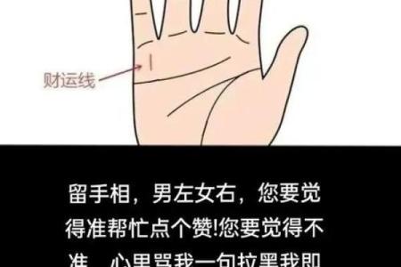 女生手相看命运，解析八字大全