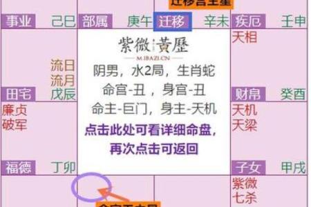 紫微斗数之疾厄宫与诸星，巨门星在疾病宫是什么意思？