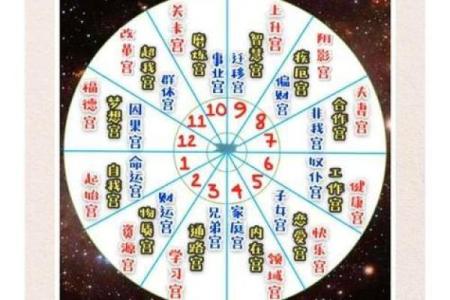 紫薇斗数子女宫空