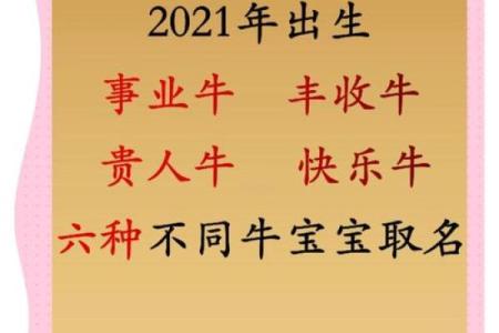 什么名字适合上午出生的属牛男孩姓名